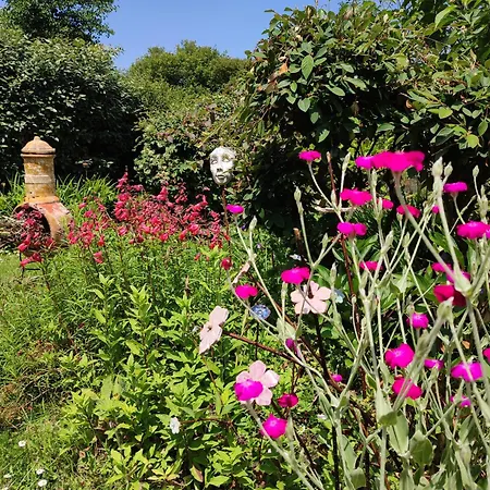 Chaumiere Dans Le Parc Regional De Briere * Saint-Lyphard