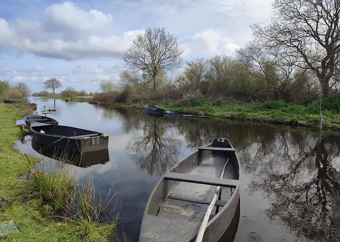 Chaumière Dans Le Parc Régional De Brière *