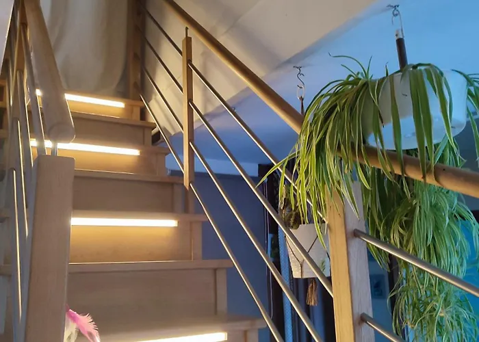 Chaumière Dans Le Parc Régional De Brière *